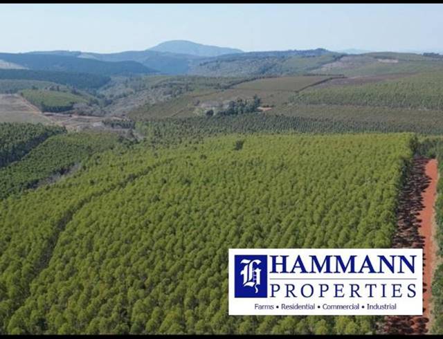 FARM FOR SALE IN LOUIS TRICHARDT RURAL